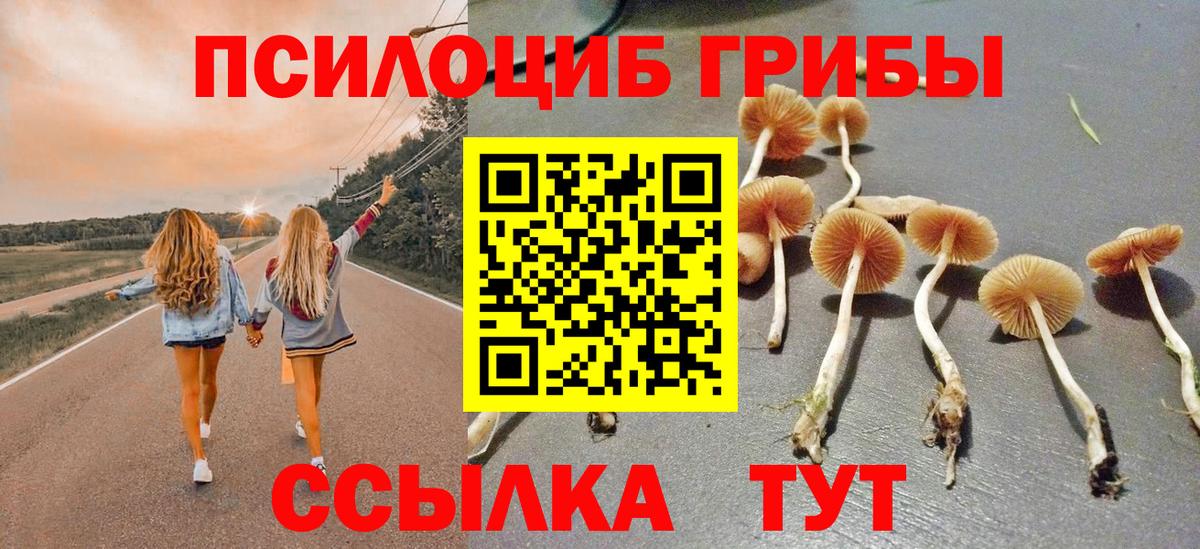 где найти наркотики  Галлюциногенные грибы Psilocybine cubensis  Вход с VPN  Пугачёв  Псилоцибиновые грибы Cubensis 